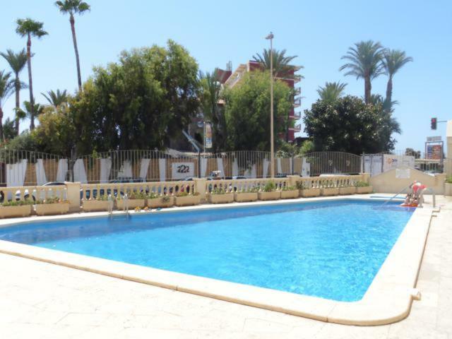 Duquesa Beach 1ª Linea de Mar Torrevieja Exterior foto